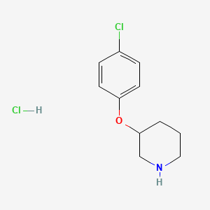 molecular formula C11H15Cl2NO B1356481 3-(4-Chlorophenoxy)piperidine hydrochloride CAS No. 38247-51-7