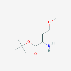 molecular formula C9H19NO3 B13564923 Tert-butyl 2-amino-4-methoxybutanoate 