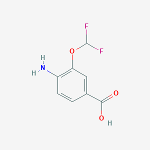 molecular formula C8H7F2NO3 B13565209 4-Amino-3-(difluoromethoxy)benzoic acid 