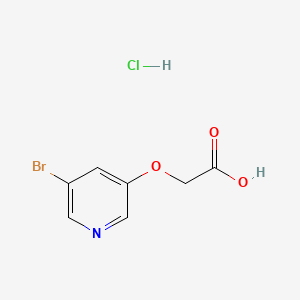 molecular formula C7H7BrClNO3 B13566022 2-[(5-Bromopyridin-3-yl)oxy]aceticacidhydrochloride 