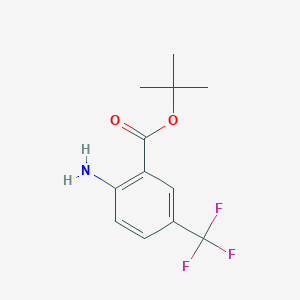 molecular formula C12H14F3NO2 B13566176 Tert-butyl 2-amino-5-(trifluoromethyl)benzoate 