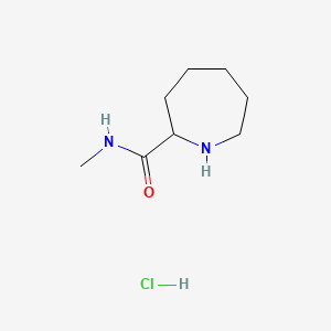 molecular formula C8H17ClN2O B13566482 N-methylazepane-2-carboxamidehydrochloride 