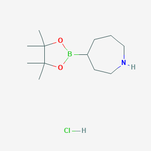 molecular formula C12H25BClNO2 B13566813 4-(4,4,5,5-Tetramethyl-1,3,2-dioxaborolan-2-YL)azepane hydrochloride 