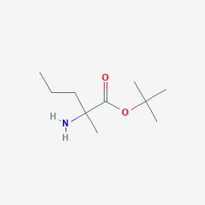 molecular formula C10H21NO2 B13568039 Tert-butyl 2-amino-2-methylpentanoate 