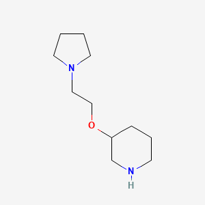 3-(2-(Pyrrolidin-1-yl)ethoxy)piperidine