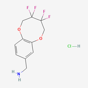 molecular formula C11H12ClF4NO2 B13568280 1-(3,3,4,4-Tetrafluoro-2,3,4,5-tetrahydro-1,6-benzodioxocin-8-yl)methanaminehydrochloride 