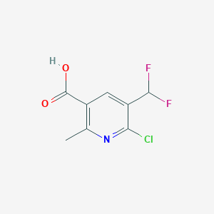 molecular formula C8H6ClF2NO2 B13568350 6-Chloro-5-(difluoromethyl)-2-methylnicotinic acid 