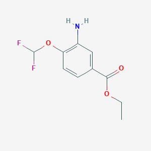 molecular formula C10H11F2NO3 B13568428 Ethyl 3-amino-4-(difluoromethoxy)benzoate 