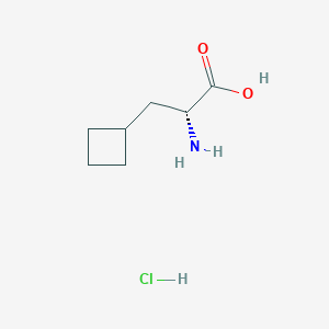 molecular formula C7H14ClNO2 B13568924 (2R)-2-Amino-3-cyclobutylpropanoic acid hydrochloride 