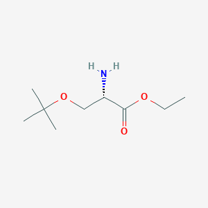 molecular formula C9H19NO3 B13569166 Ethyl O-(tert-butyl)-L-serinate 