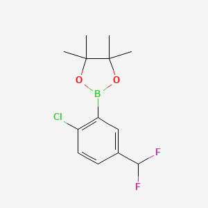 molecular formula C13H16BClF2O2 B13569684 2-[2-Chloro-5-(difluoromethyl)phenyl]-4,4,5,5-tetramethyl-1,3,2-dioxaborolane 