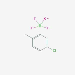 molecular formula C7H6BClF3K B13570755 Potassium (5-chloro-2-methylphenyl)trifluoroborate 