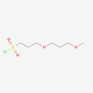 molecular formula C7H15ClO4S B13570798 3-(3-Methoxypropoxy)propane-1-sulfonyl chloride 