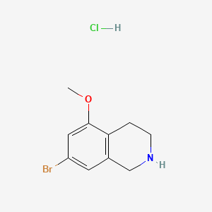 molecular formula C10H13BrClNO B13570818 7-Bromo-5-methoxy-1,2,3,4-tetrahydroisoquinoline hydrochloride 