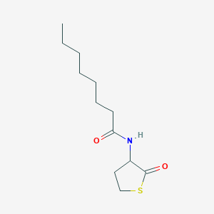 N-(2-oxothiolan-3-yl)octanamide