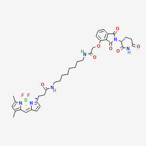 BODIPY FL thalidomide