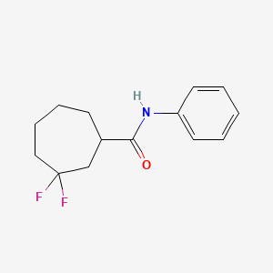 3,3-difluoro-N-phenylcycloheptane-1-carboxamide