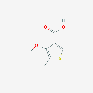 molecular formula C7H8O3S B13575463 4-Methoxy-5-methylthiophene-3-carboxylicacid 