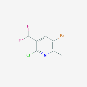 3-Bromo-6-chloro-5-(difluoromethyl)-2-methylpyridine