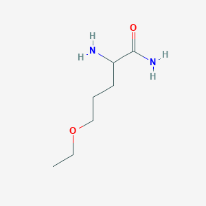 2-Amino-5-ethoxypentanamide