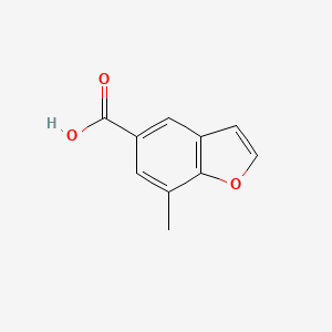 molecular formula C10H8O3 B13576807 7-Methyl-1-benzofuran-5-carboxylicacid 