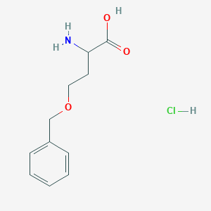 molecular formula C11H16ClNO3 B13576936 2-Amino-4-(benzyloxy)butanoicacidhydrochloride 