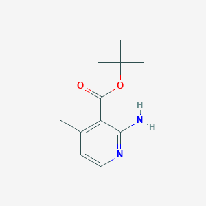 tert-Butyl 2-amino-4-methylnicotinate