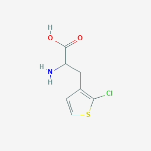 molecular formula C7H8ClNO2S B13577631 2-Amino-3-(2-chlorothiophen-3-yl)propanoic acid 