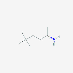 molecular formula C8H19N B13578238 (S)-5,5-Dimethylhexan-2-amine 