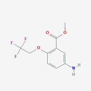 molecular formula C10H10F3NO3 B13578323 Methyl 5-amino-2-(2,2,2-trifluoroethoxy)benzoate 