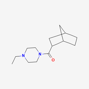 molecular formula C14H24N2O B13578399 1-{Bicyclo[2.2.1]heptane-2-carbonyl}-4-ethylpiperazine 