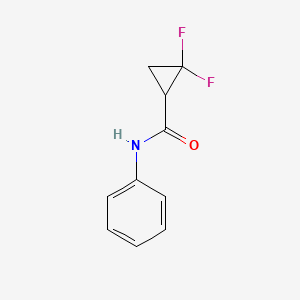 2,2-difluoro-N-phenylcyclopropane-1-carboxamide