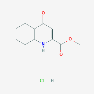 molecular formula C11H14ClNO3 B13578898 Methyl4-oxo-1,4,5,6,7,8-hexahydroquinoline-2-carboxylatehydrochloride 