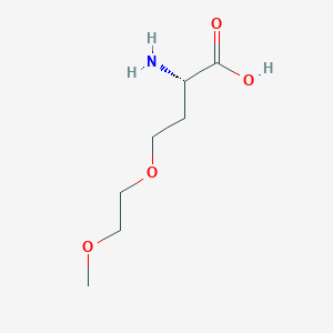 molecular formula C7H15NO4 B13578908 O-(2-Methoxyethyl)-L-homoserine 