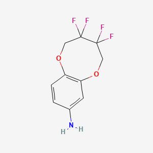 molecular formula C10H9F4NO2 B13579059 3,3,4,4-Tetrafluoro-2,3,4,5-tetrahydro-1,6-benzodioxocin-8-amine 