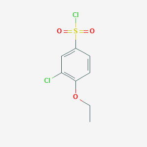 molecular formula C8H8Cl2O3S B13579065 3-Chloro-4-ethoxybenzene-1-sulfonyl chloride 