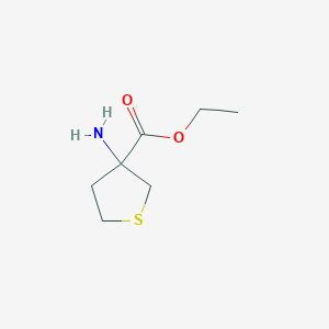 molecular formula C7H13NO2S B13579295 Ethyl 3-aminothiolane-3-carboxylate 