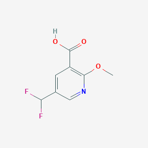 molecular formula C8H7F2NO3 B13579456 5-(Difluoromethyl)-2-methoxypyridine-3-carboxylic acid 