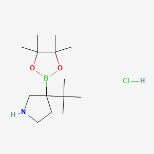 molecular formula C14H29BClNO2 B13579566 3-Tert-butyl-3-(4,4,5,5-tetramethyl-1,3,2-dioxaborolan-2-yl)pyrrolidinehydrochloride 