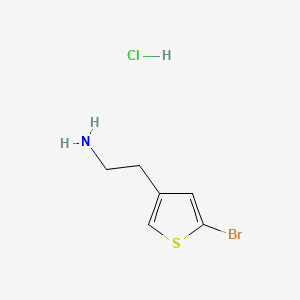 molecular formula C6H9BrClNS B13580284 2-(5-Bromothiophen-3-yl)ethan-1-amine hydrochloride 