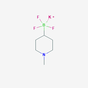 molecular formula C6H12BF3KN B13580556 Potassium trifluoro(1-methylpiperidin-4-yl)boranuide 