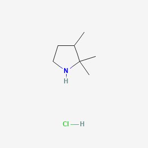 2,2,3-Trimethylpyrrolidinehydrochloride