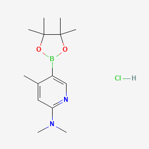 N,N,4-trimethyl-5-(4,4,5,5-tetramethyl-1,3,2-dioxaborolan-2-yl)pyridin-2-amine hydrochloride