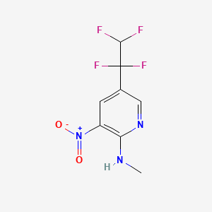 molecular formula C8H7F4N3O2 B13581418 N-methyl-3-nitro-5-(1,1,2,2-tetrafluoroethyl)pyridin-2-amine 