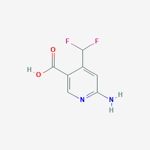 molecular formula C7H6F2N2O2 B13581965 6-Amino-4-(difluoromethyl)nicotinic acid 