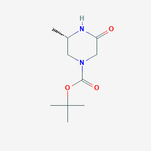 molecular formula C10H18N2O3 B13582738 tert-butyl (3S)-3-methyl-5-oxopiperazine-1-carboxylate 