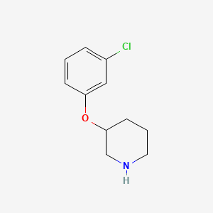 molecular formula C11H14ClNO B1358533 3-(3-Chlorophenoxy)piperidine CAS No. 902837-32-5