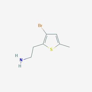 molecular formula C7H10BrNS B13587742 2-(3-Bromo-5-methylthiophen-2-yl)ethan-1-amine 