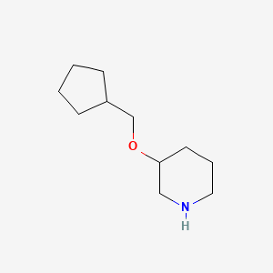 3-(Cyclopentylmethoxy)piperidine