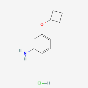 3-Cyclobutoxyanilinehydrochloride